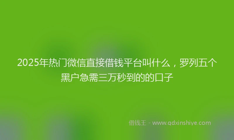 2025年热门微信直接借钱平台叫什么，罗列五个黑户急需三万秒到的的口子