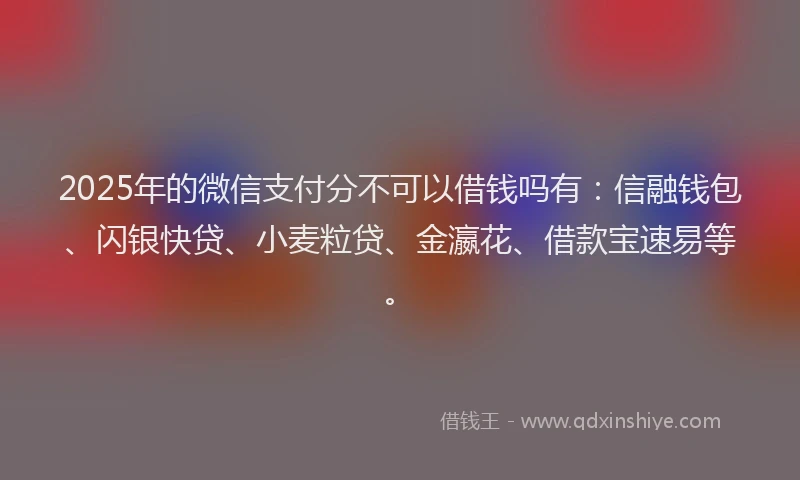 2025年的微信支付分不可以借钱吗有：信融钱包、闪银快贷、小麦粒贷、金瀛花、借款宝速易等。