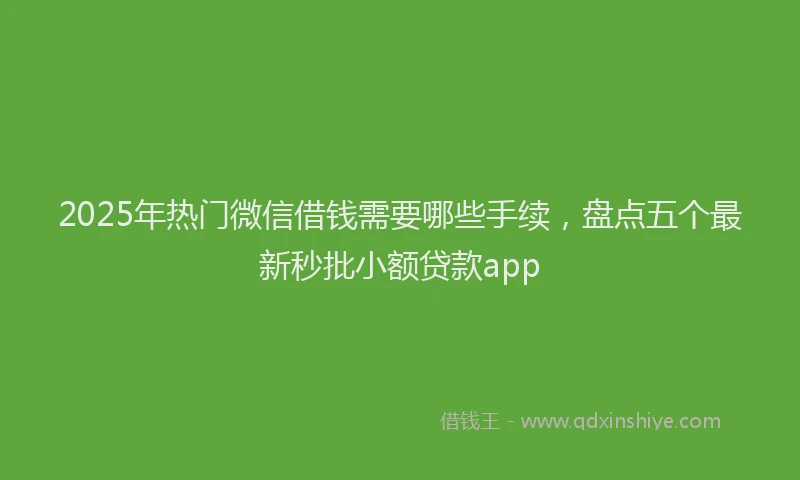 2025年热门微信借钱需要哪些手续，盘点五个最新秒批小额贷款app