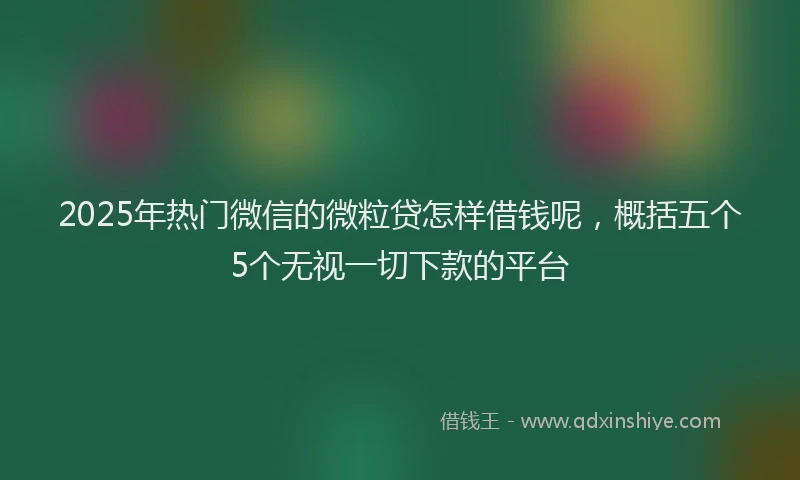 2025年热门微信的微粒贷怎样借钱呢，概括五个5个无视一切下款的平台