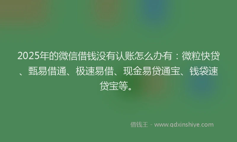 2025年的微信借钱没有认账怎么办有：微粒快贷、甄易借通、极速易借、现金易贷通宝、钱袋速贷宝等。