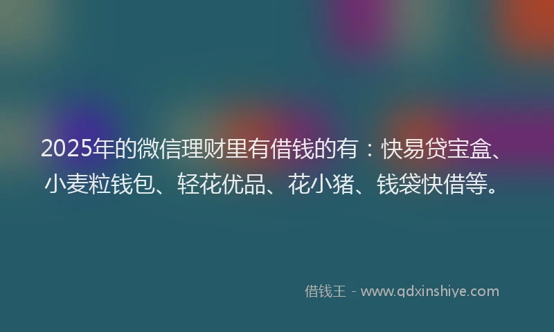 2025年的微信理财里有借钱的有：快易贷宝盒、小麦粒钱包、轻花优品、花小猪、钱袋快借等。