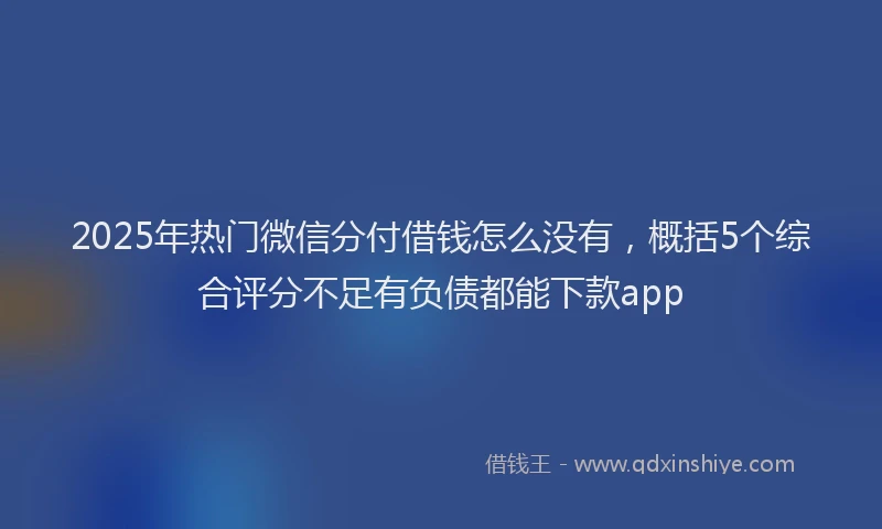 2025年热门微信分付借钱怎么没有，概括5个综合评分不足有负债都能下款app