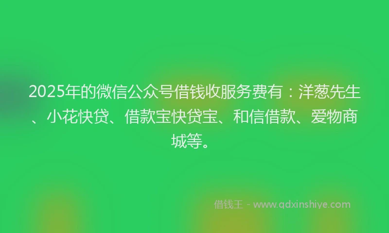 2025年的微信公众号借钱收服务费有：洋葱先生、小花快贷、借款宝快贷宝、和信借款、爱物商城等。