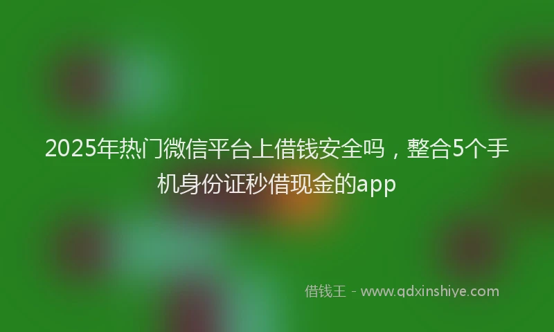 2025年热门微信平台上借钱安全吗，整合5个手机身份证秒借现金的app