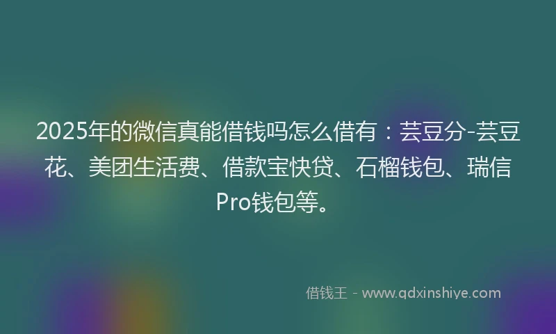 2025年的微信真能借钱吗怎么借有：芸豆分-芸豆花、美团生活费、借款宝快贷、石榴钱包、瑞信Pro钱包等。