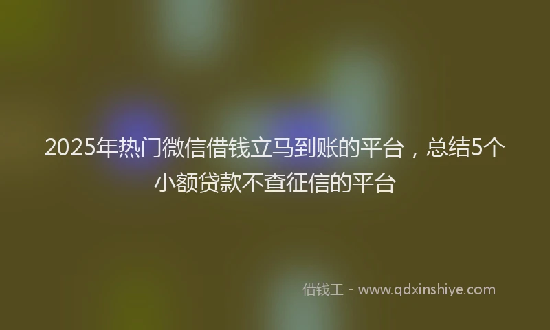 2025年热门微信借钱立马到账的平台，总结5个小额贷款不查征信的平台