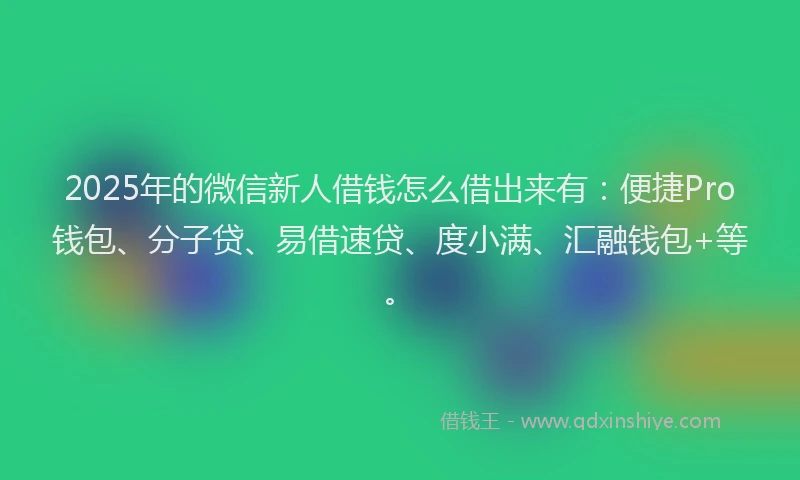 2025年的微信新人借钱怎么借出来有：便捷Pro钱包、分子贷、易借速贷、度小满、汇融钱包+等。