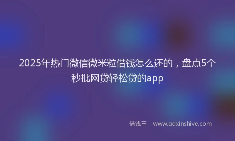 2025年热门微信微米粒借钱怎么还的，盘点5个秒批网贷轻松贷的app