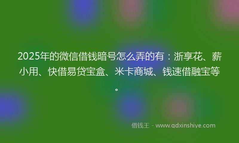 2025年的微信借钱暗号怎么弄的有：浙享花、薪小用、快借易贷宝盒、米卡商城、钱速借融宝等。