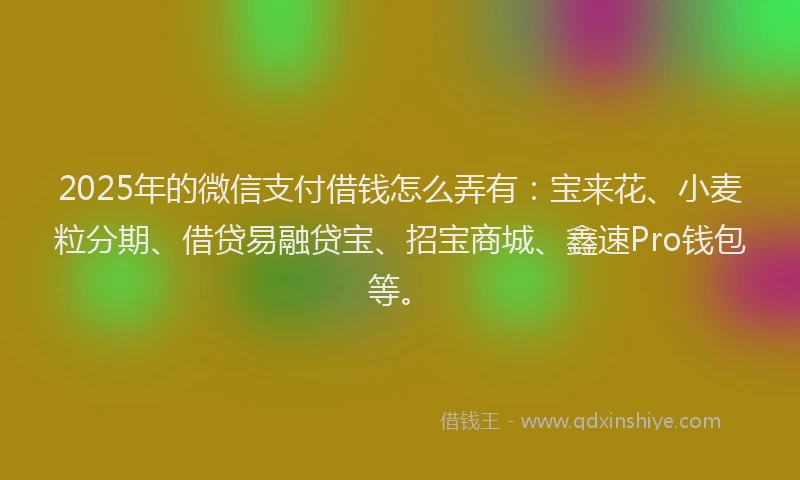 2025年的微信支付借钱怎么弄有：宝来花、小麦粒分期、借贷易融贷宝、招宝商城、鑫速Pro钱包等。