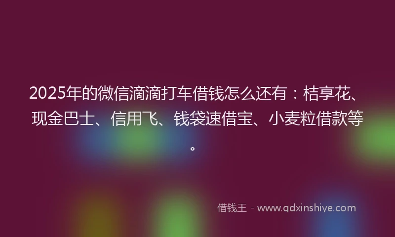2025年的微信滴滴打车借钱怎么还有：桔享花、现金巴士、信用飞、钱袋速借宝、小麦粒借款等。
