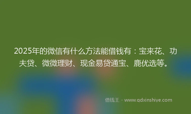 2025年的微信有什么方法能借钱有：宝来花、功夫贷、微微理财、现金易贷通宝、鹿优选等。