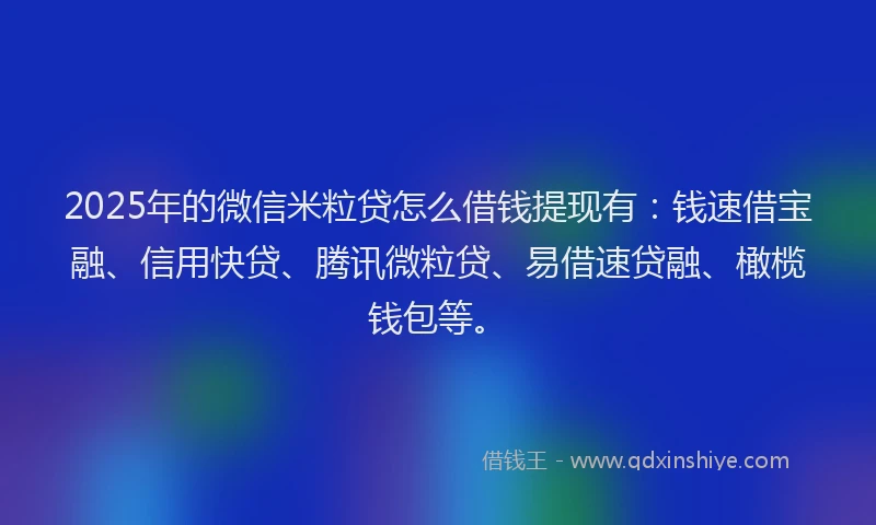 2025年的微信米粒贷怎么借钱提现有：钱速借宝融、信用快贷、腾讯微粒贷、易借速贷融、橄榄钱包等。