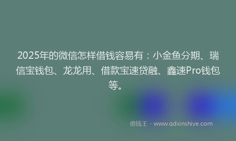 2025年的微信怎样借钱容易有：小金鱼分期、瑞信宝钱包、龙龙用、借款宝速贷融、鑫速Pro钱包等。