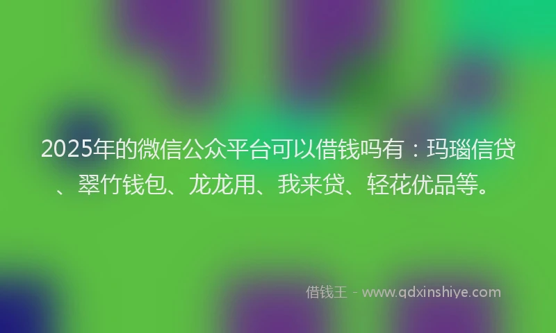 2025年的微信公众平台可以借钱吗有：玛瑙信贷、翠竹钱包、龙龙用、我来贷、轻花优品等。