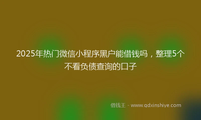 2025年热门微信小程序黑户能借钱吗，整理5个不看负债查询的口子