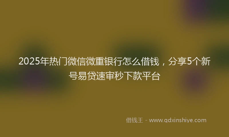 2025年热门微信微重银行怎么借钱，分享5个新号易贷速审秒下款平台