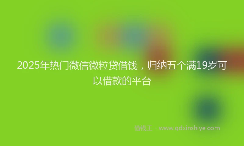 2025年热门微信微粒贷借钱，归纳五个满19岁可以借款的平台