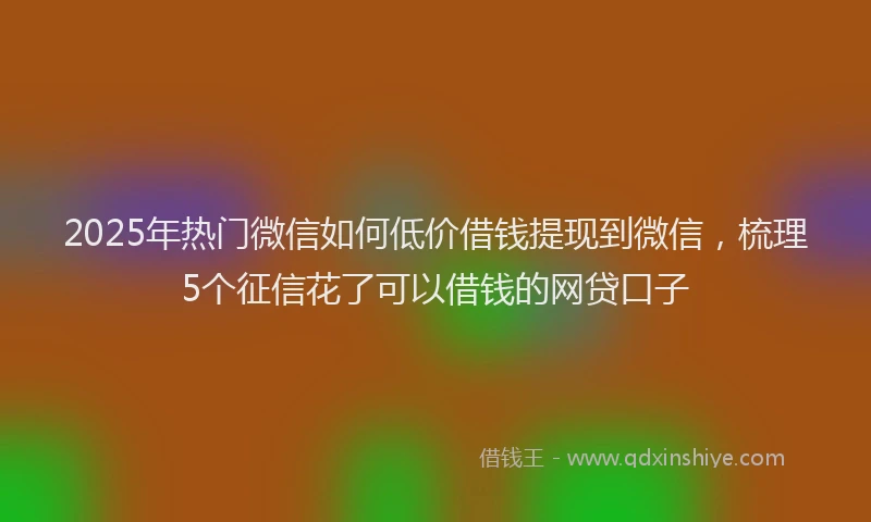 2025年热门微信如何低价借钱提现到微信，梳理5个征信花了可以借钱的网贷口子