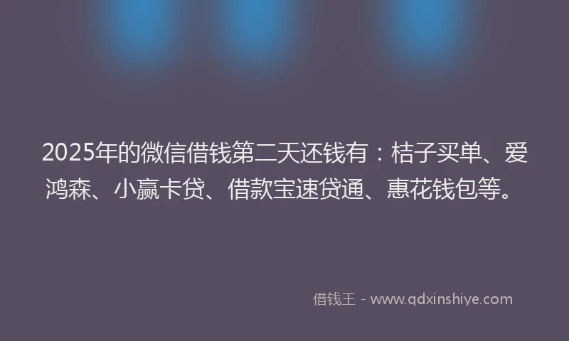 2025年的微信借钱第二天还钱有：桔子买单、爱鸿森、小赢卡贷、借款宝速贷通、惠花钱包等。