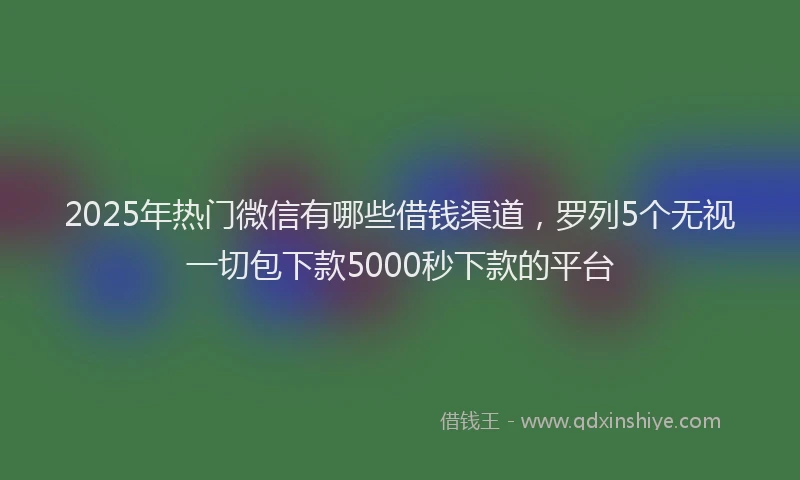 2025年热门微信有哪些借钱渠道，罗列5个无视一切包下款5000秒下款的平台