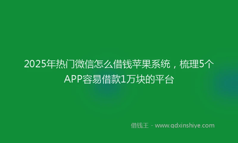 2025年热门微信怎么借钱苹果系统，梳理5个APP容易借款1万块的平台