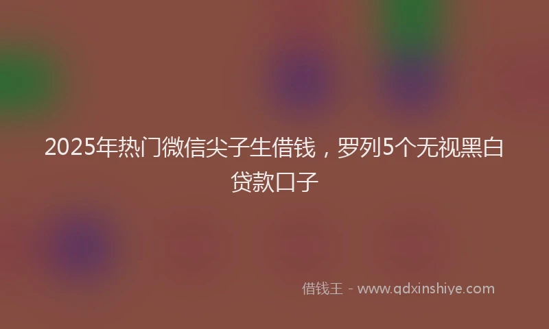 2025年热门微信尖子生借钱，罗列5个无视黑白贷款口子