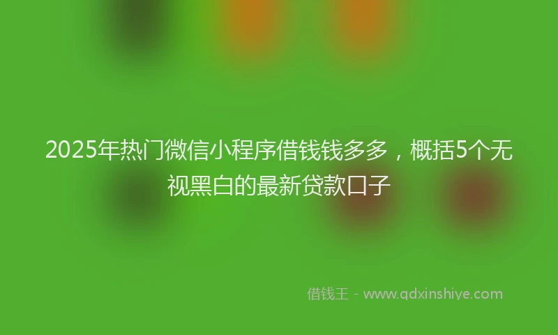 2025年热门微信小程序借钱钱多多，概括5个无视黑白的最新贷款口子