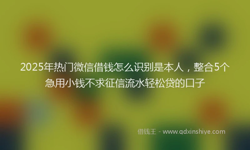 2025年热门微信借钱怎么识别是本人，整合5个急用小钱不求征信流水轻松贷的口子