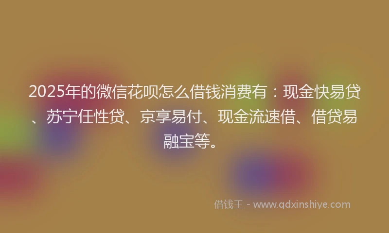 2025年的微信花呗怎么借钱消费有：现金快易贷、苏宁任性贷、京享易付、现金流速借、借贷易融宝等。