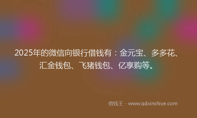 2025年的微信向银行借钱有：金元宝、多多花、汇金钱包、飞猪钱包、亿享购等。