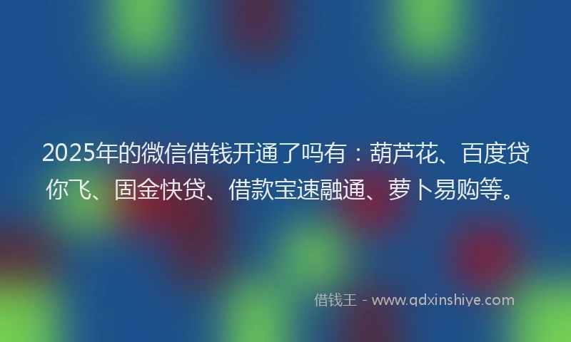 2025年的微信借钱开通了吗有：葫芦花、百度贷你飞、固金快贷、借款宝速融通、萝卜易购等。