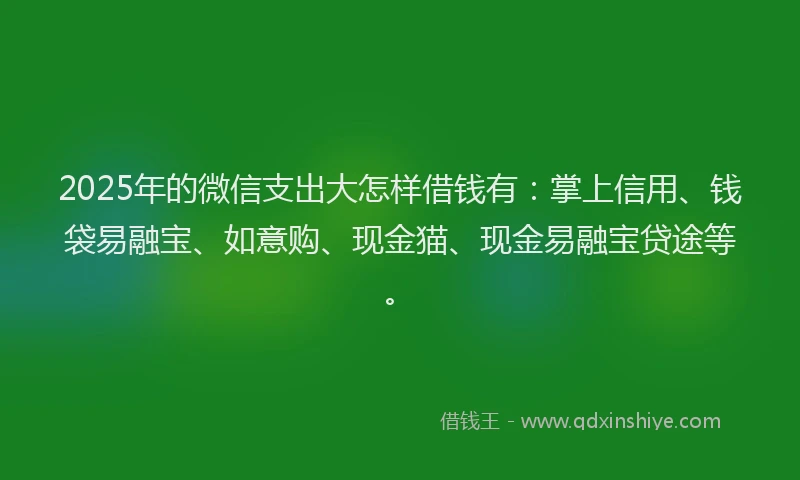 2025年的微信支出大怎样借钱有：掌上信用、钱袋易融宝、如意购、现金猫、现金易融宝贷途等。