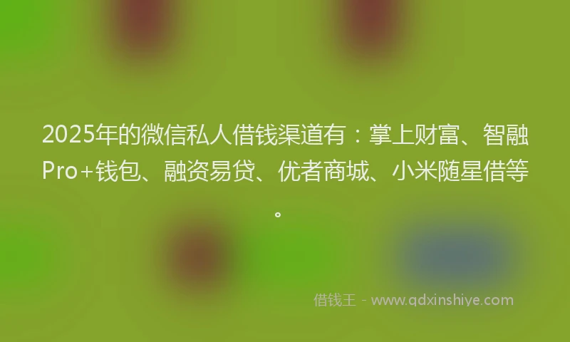 2025年的微信私人借钱渠道有：掌上财富、智融Pro+钱包、融资易贷、优者商城、小米随星借等。