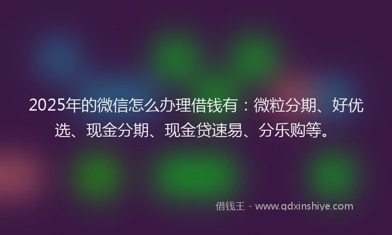 2025年的微信怎么办理借钱有：微粒分期、好优选、现金分期、现金贷速易、分乐购等。