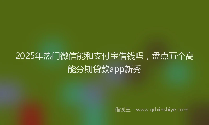 2025年热门微信能和支付宝借钱吗，盘点五个高能分期贷款app新秀