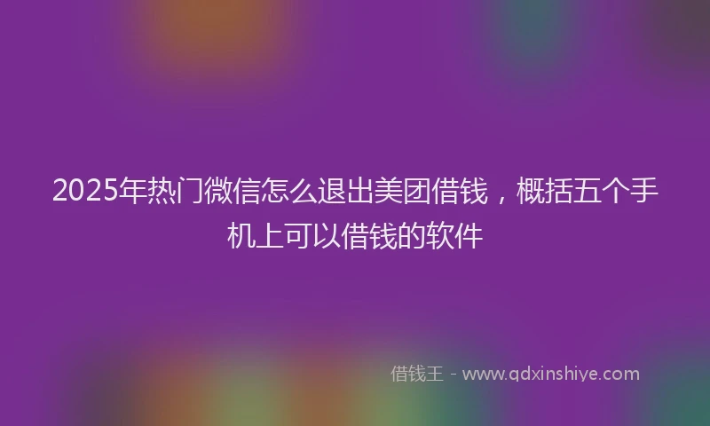 2025年热门微信怎么退出美团借钱，概括五个手机上可以借钱的软件