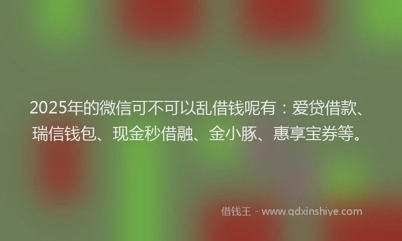 2025年的微信可不可以乱借钱呢有：爱贷借款、瑞信钱包、现金秒借融、金小豚、惠享宝券等。