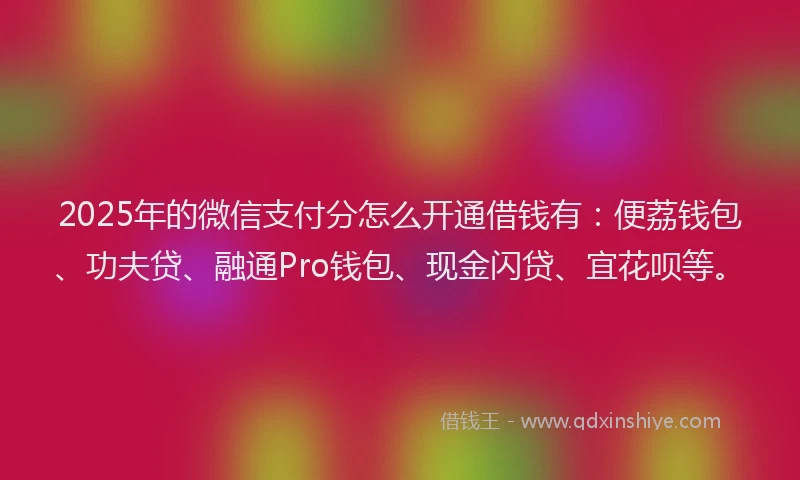 2025年的微信支付分怎么开通借钱有：便荔钱包、功夫贷、融通Pro钱包、现金闪贷、宜花呗等。