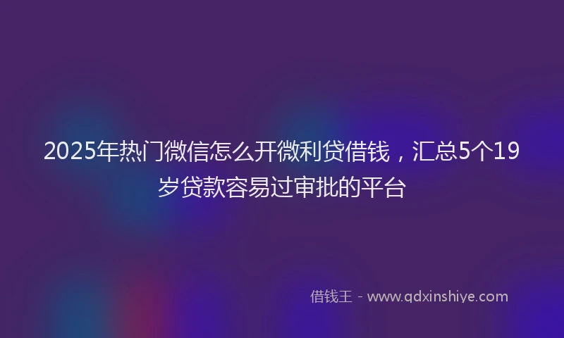 2025年热门微信怎么开微利贷借钱，汇总5个19岁贷款容易过审批的平台