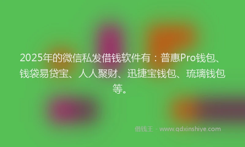 2025年的微信私发借钱软件有：普惠Pro钱包、钱袋易贷宝、人人聚财、迅捷宝钱包、琉璃钱包等。