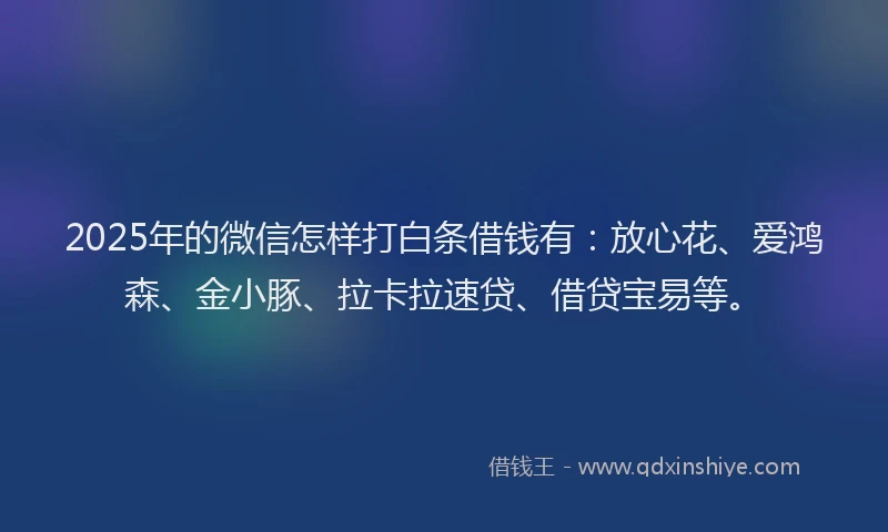 2025年的微信怎样打白条借钱有：放心花、爱鸿森、金小豚、拉卡拉速贷、借贷宝易等。