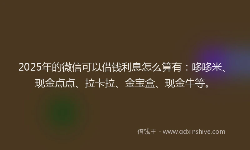 2025年的微信可以借钱利息怎么算有：哆哆米、现金点点、拉卡拉、金宝盒、现金牛等。