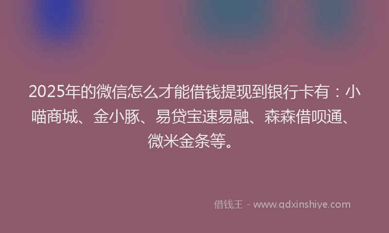 2025年的微信怎么才能借钱提现到银行卡有：小喵商城、金小豚、易贷宝速易融、森森借呗通、微米金条等。