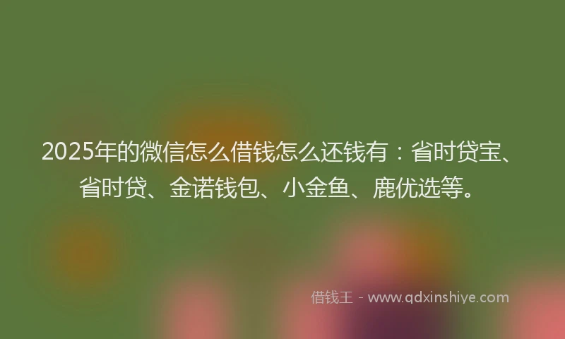 2025年的微信怎么借钱怎么还钱有：省时贷宝、省时贷、金诺钱包、小金鱼、鹿优选等。