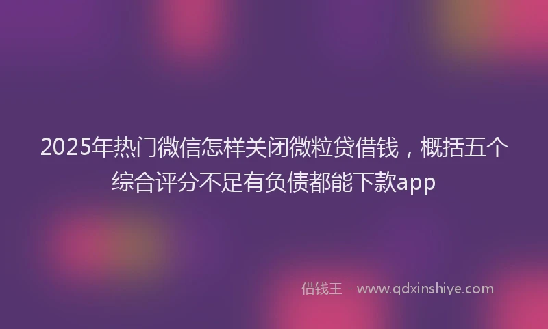 2025年热门微信怎样关闭微粒贷借钱，概括五个综合评分不足有负债都能下款app