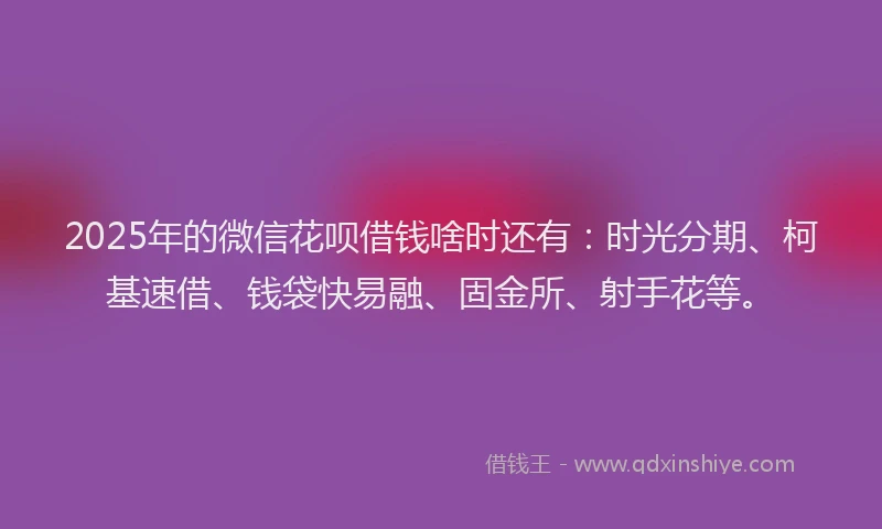 2025年的微信花呗借钱啥时还有：时光分期、柯基速借、钱袋快易融、固金所、射手花等。