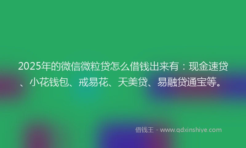 2025年的微信微粒贷怎么借钱出来有：现金速贷、小花钱包、戒易花、天美贷、易融贷通宝等。
