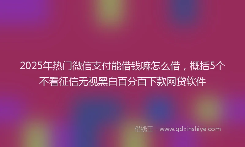 2025年热门微信支付能借钱嘛怎么借，概括5个不看征信无视黑白百分百下款网贷软件